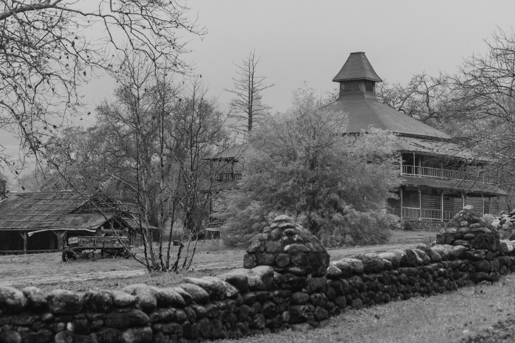 Aetna Springa BW